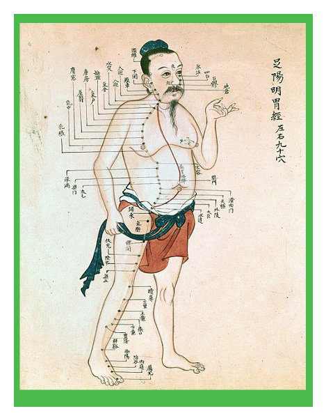 acupunture chart